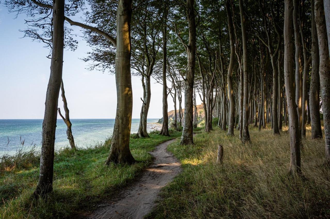 Gemuetliche Ferienresidenz Mit Meerblick Ueber Die Wundervolle Luebecker Bucht Timmendorfer Strand Extérieur photo